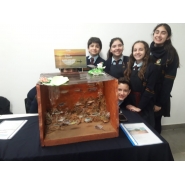 Expomaquetas